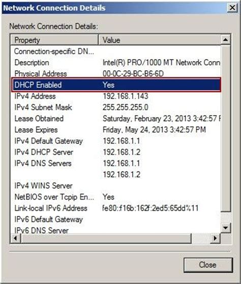 dhcp client options